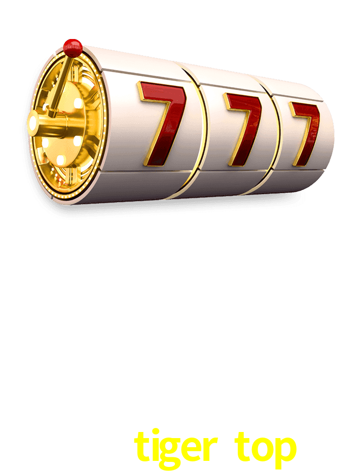 Experiência VIP 234tiger top