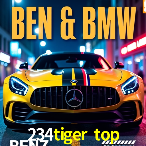 Login Seguro 234tiger top