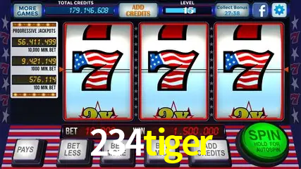 Roulette Table 234tiger